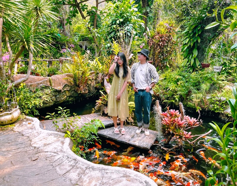 Hồ cá KOI và Vườn nhiệt đới