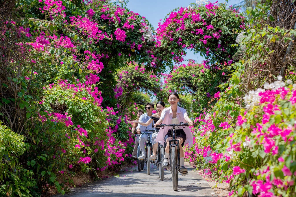 CON ĐƯỜNG HOA GIẤY