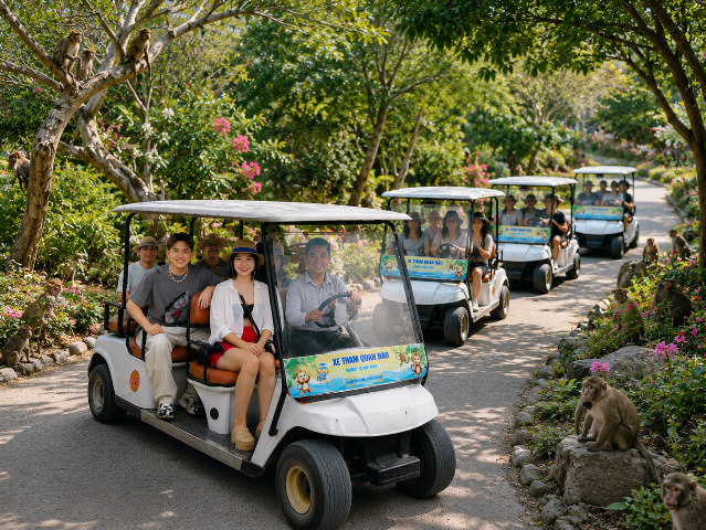 XE BUGGY THAM QUAN ĐẢO